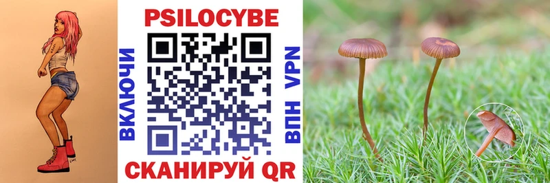 Псилоцибиновые грибы мухоморы  Луза 